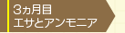 ３カ月目
