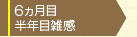 ６カ月目