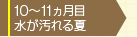 10カ月目