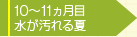 10カ月目