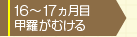 16カ月目