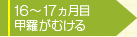 16カ月目