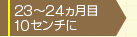 23カ月目