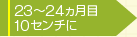 23カ月目